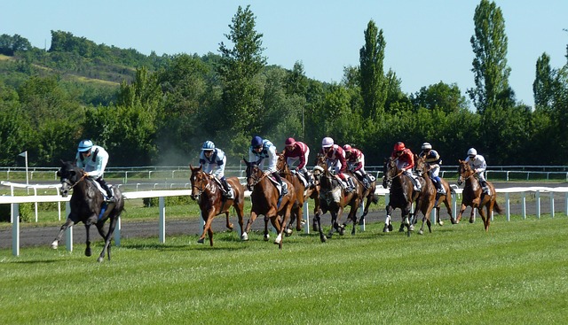Race Day Catering Ideas: What to Serve at Your Melbourne Cup Party